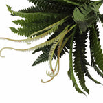 Artificial Dark Green Boston Fern 60cm - Designer Vertical Gardens artificial green wall sydney artificial vertical garden melbourne