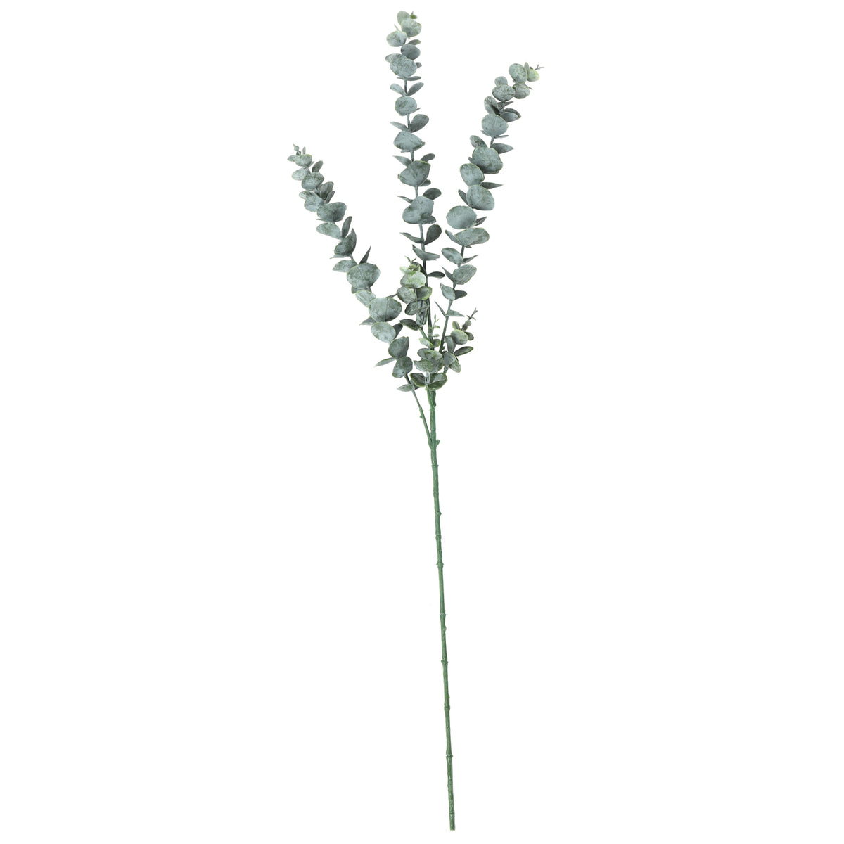 Artificial Eucalyptus Stem 77cm Long (5 Pieces) — gallery image