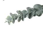 Artificial Eucalyptus Stem 77cm Long (5 Pieces) - Designer Vertical Gardens artificial eucalyptus artificial eucalyptus stems
