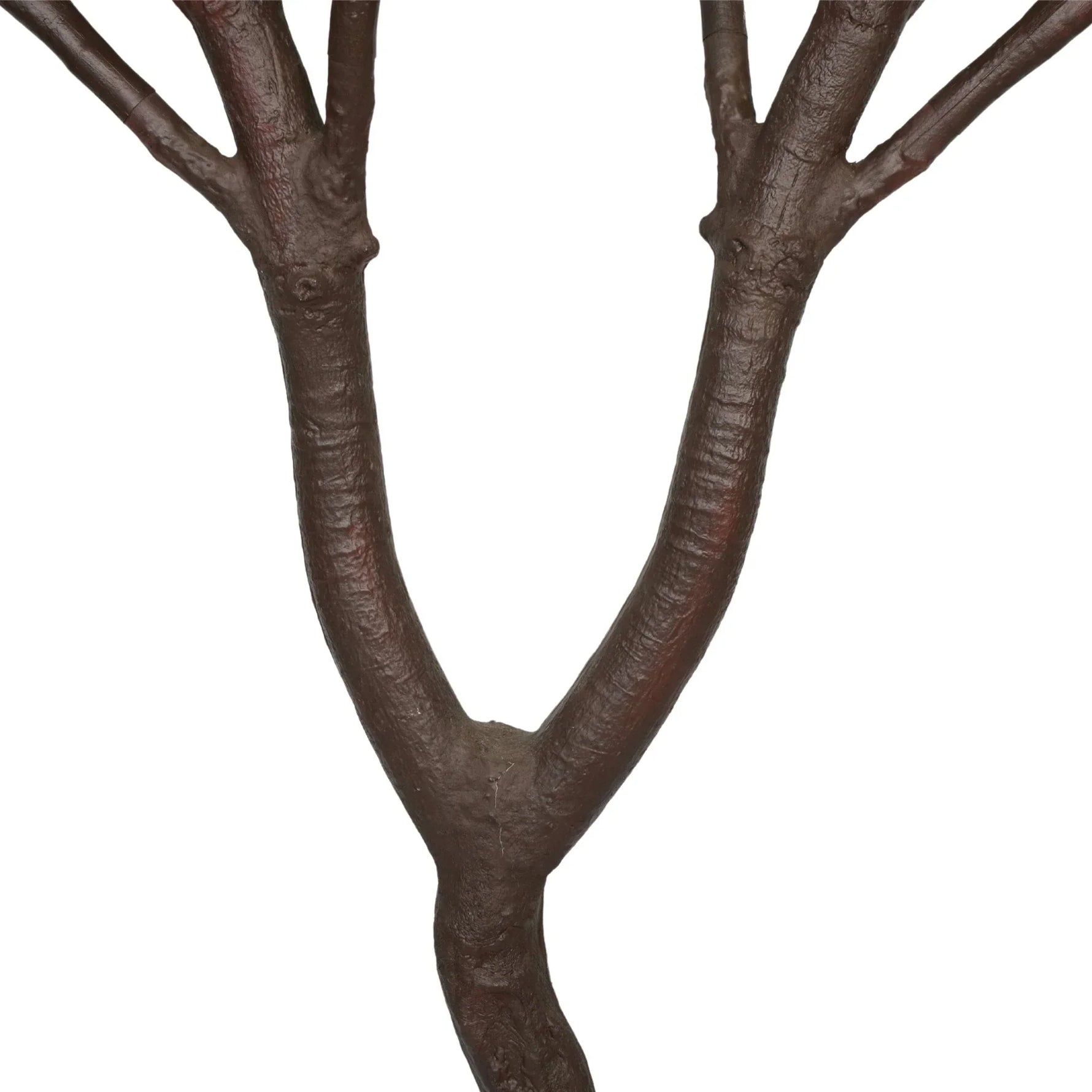 Artificial eucalyptus trunk and base detail