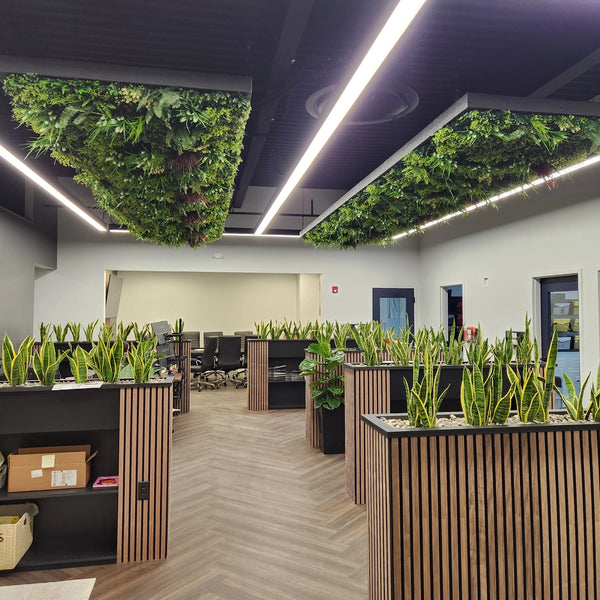 Artificial (faux) Mother in Law Tongue / Yellow Tongue Snake Plant UV Resistant 100CM - image 5