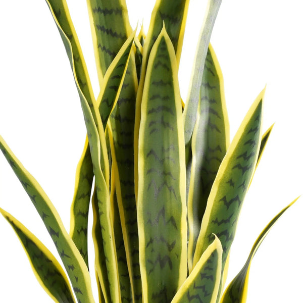 Artificial (faux) Mother in Law Tongue / Yellow Tongue Snake Plant UV Resistant 100CM — gallery image 6