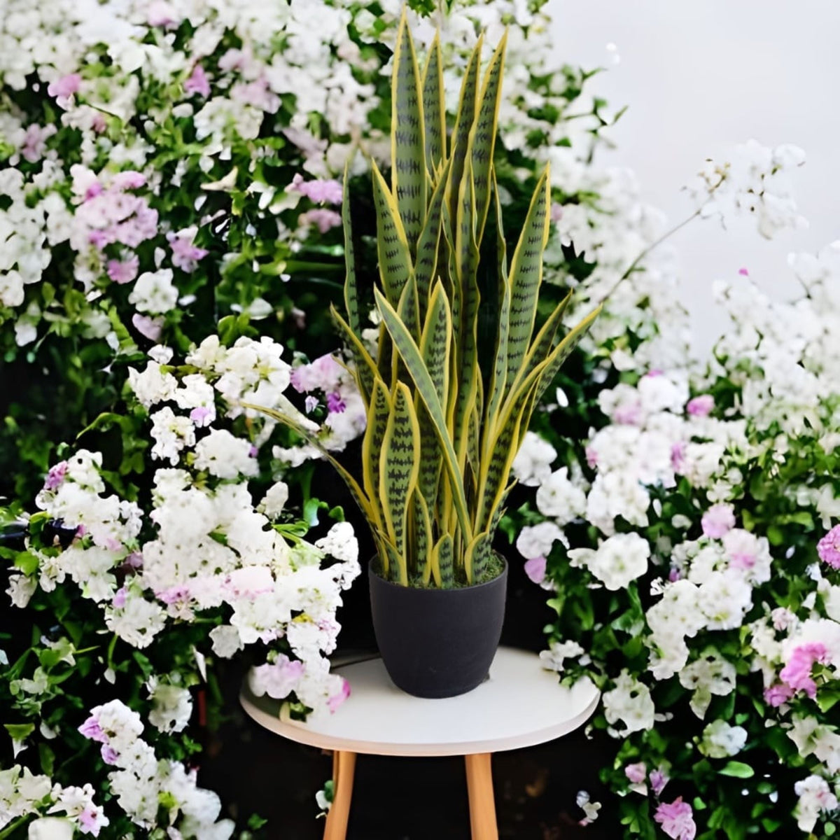 Artificial (faux) Mother in Law Tongue / Yellow Tongue Snake Plant UV Resistant 100CM - Designer Vertical Gardens artificial green wall sydney artificial vertical garden melbourne