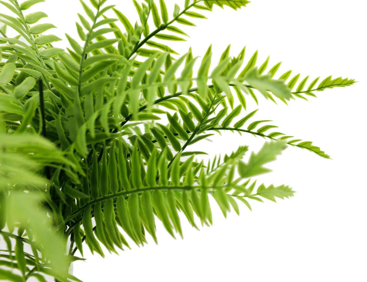 Artificial Fern (Lady Fern) 40cm UV Resistant - Designer Vertical Gardens