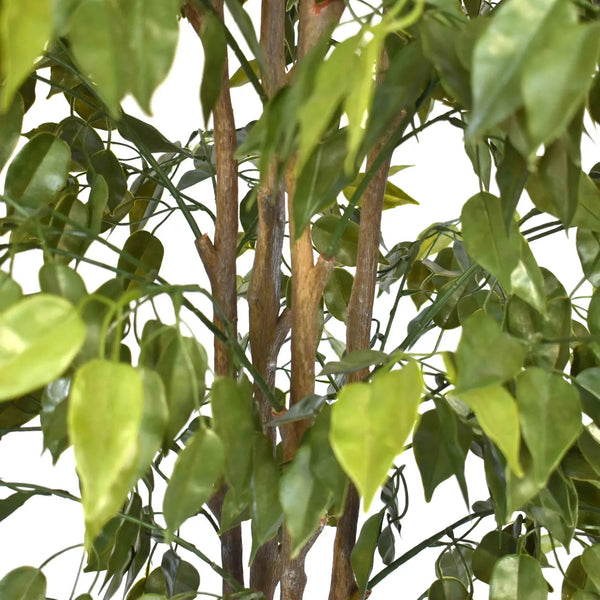 Artificial Ficus Tree 180cm Nearly Natural UV Resistant — gallery image 8