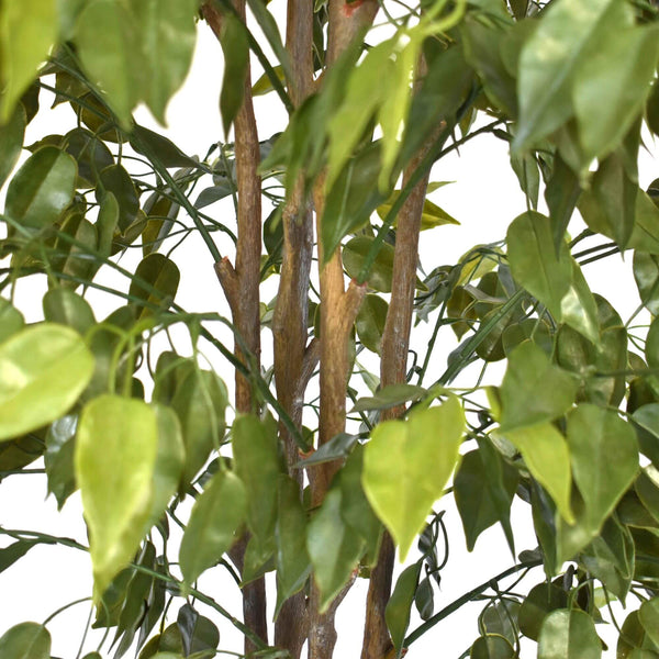 Artificial Ficus Tree 180cm Nearly Natural UV Resistant - image 4