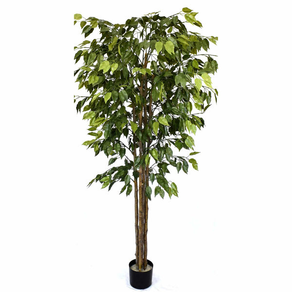 Artificial Ficus Tree 180cm Nearly Natural UV Resistant - image 4