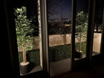 Artificial Ficus Tree 180cm - UV Resistant Premium Indoor/Outdoor Plant - Designer Vertical Gardens Artificial Ficus artificial Ficus tree