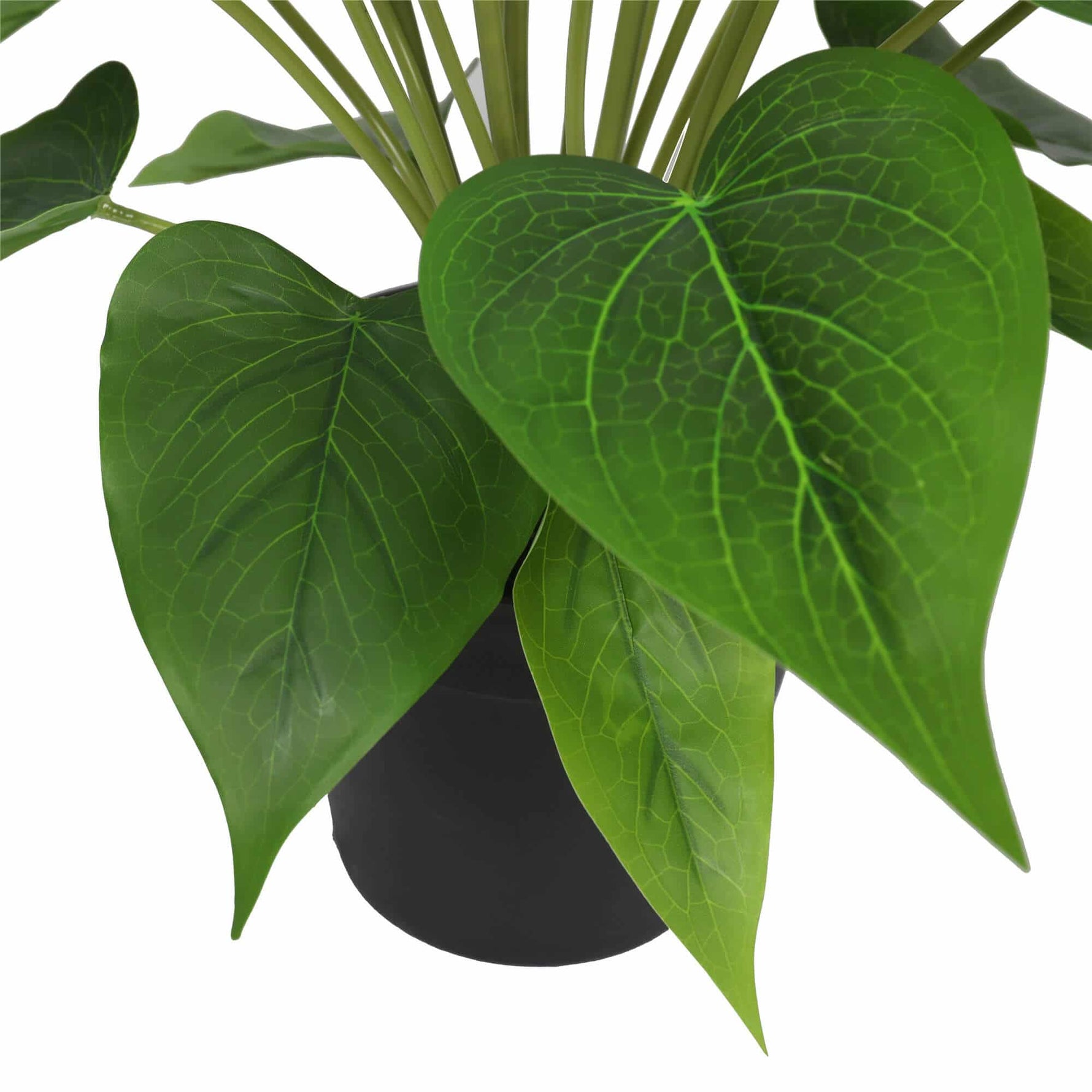 Artificial Flowering White & Orange Peace Lily / Calla Lily Plant 50cm - Designer Vertical Gardens artificial garden wall plants artificial green wall sydney