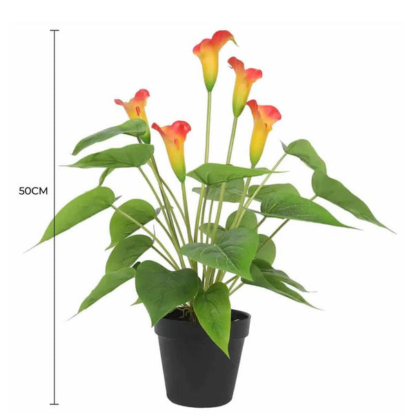 Artificial Flowering White & Orange Peace Lily / Calla Lily Plant 50cm — gallery image 4