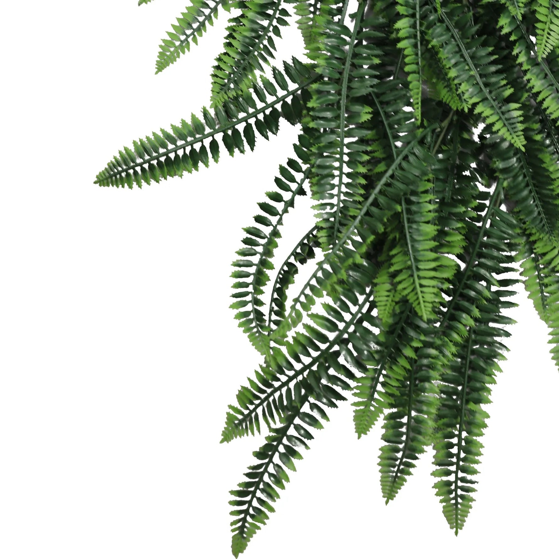 Artificial Hanging Boston Fern Garland – UV Resistant & Fire Rated (27cm x 84cm) - Designer Vertical Gardens artificial hanging ferns hanging fern