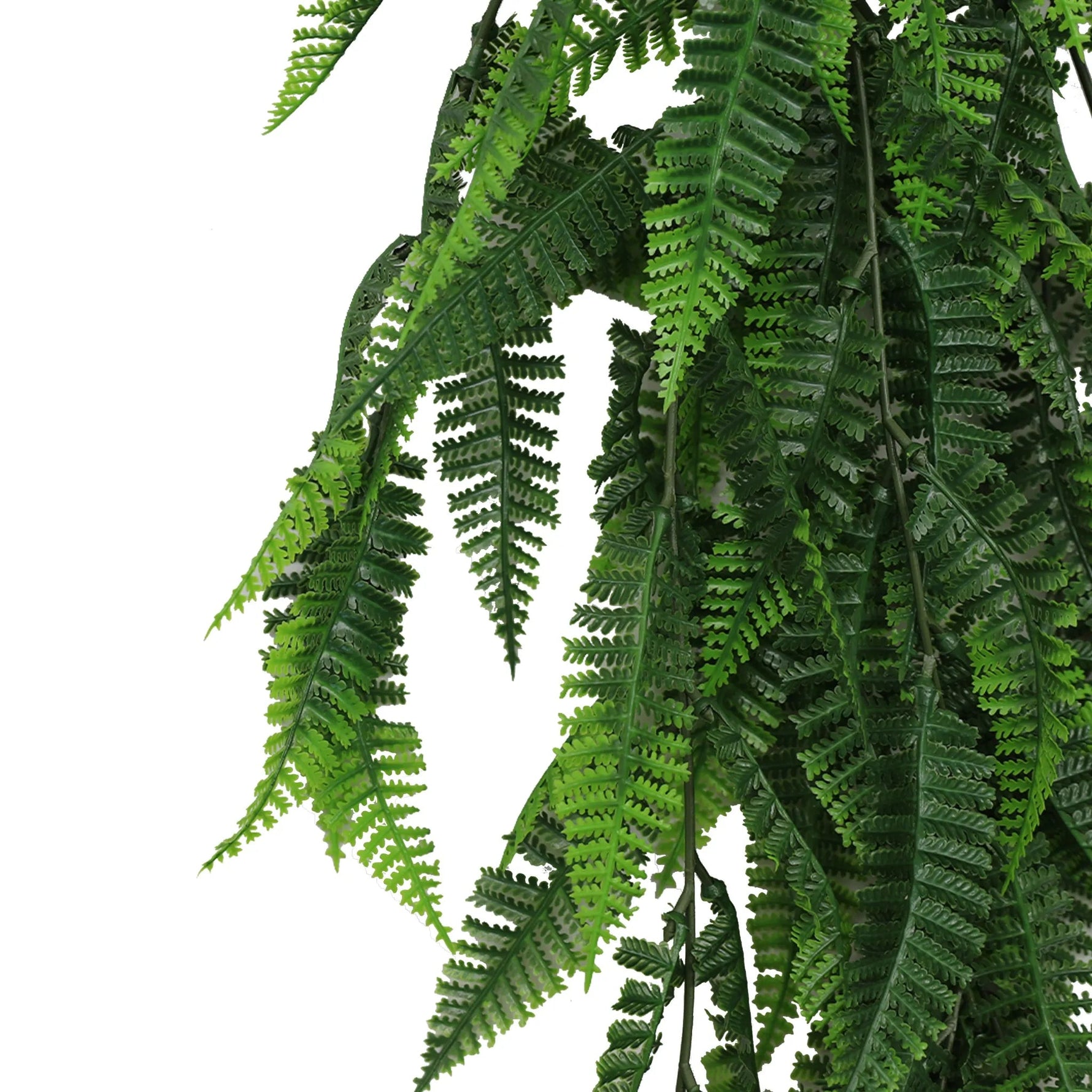 Artificial Hanging Fern Garland – UV Resistant & Fire Rated (18cm x 76cm) - Designer Vertical Gardens artificial hanging ferns hanging fern