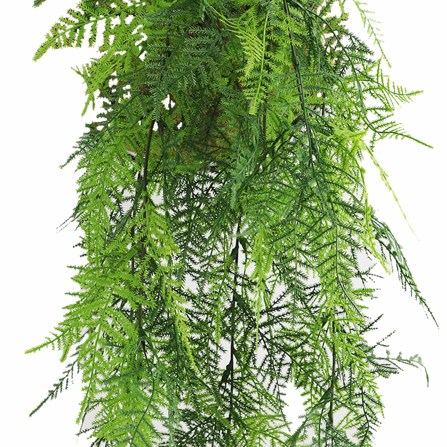 Artificial Hanging Lace Fern Garland – UV Resistant & Fire Rated (15cm x 76cm) - Designer Vertical Gardens artificial hanging ferns hanging fern