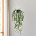 Artificial Hanging Potted Plant (Willow Leaf) 66cm UV Resistant - Designer Vertical Gardens hanging garland