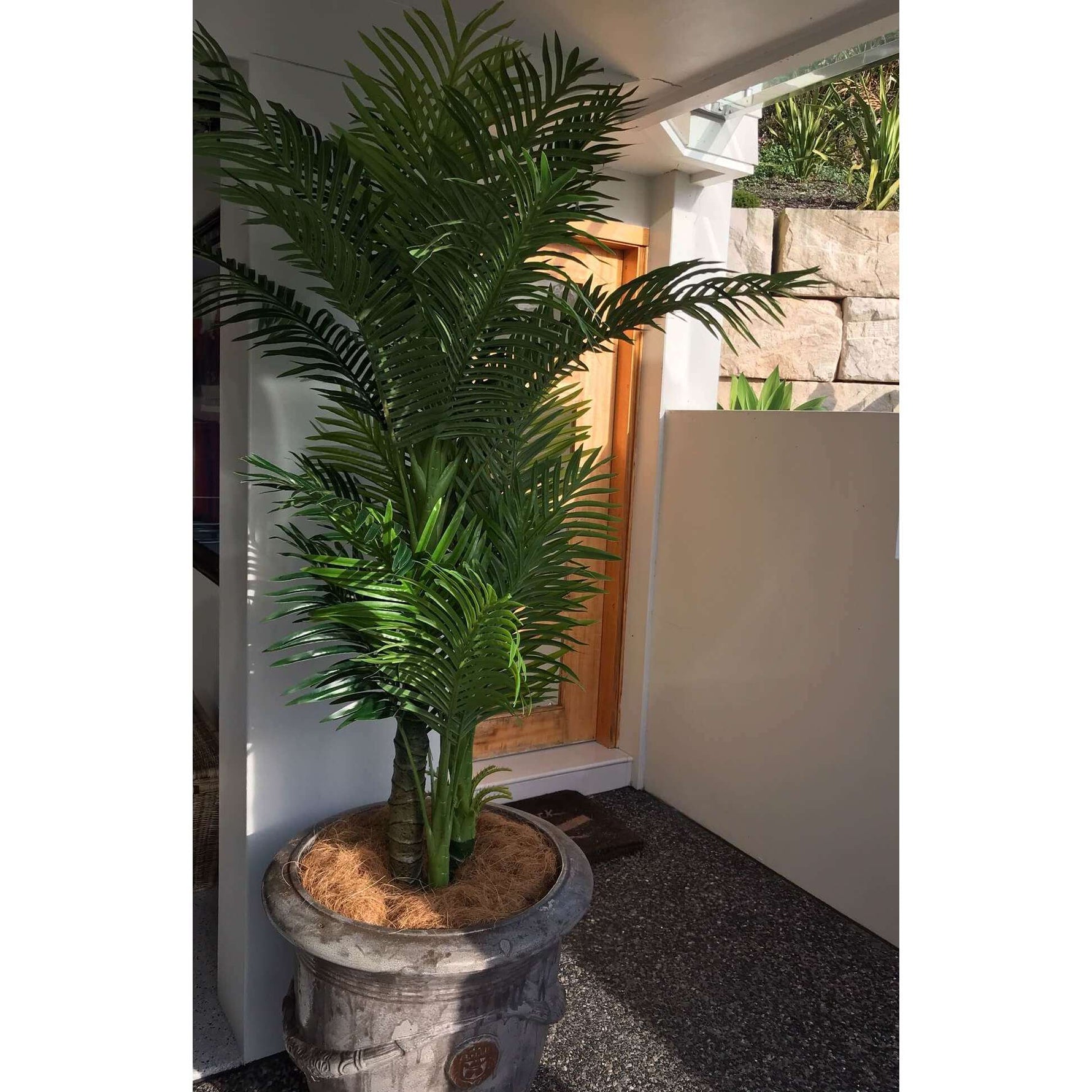 Artificial Hawaii Palm with Multiple Trunk & Long Leaves 180cm - Designer Vertical Gardens artificial green wall sydney artificial vertical garden melbourne