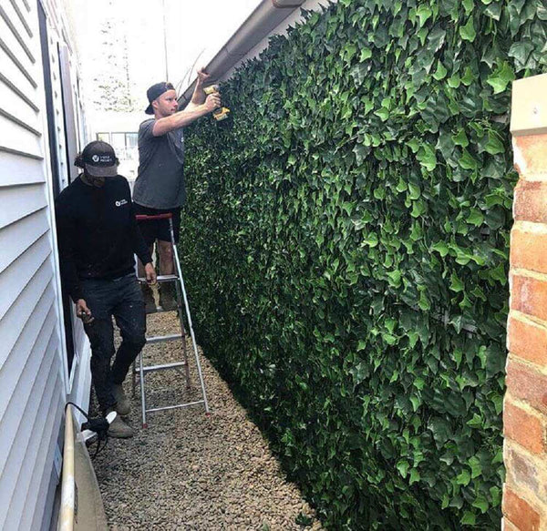 Artificial Ivy Hedge Panel 1m x 1m – SGS UV Resistant — gallery image 17