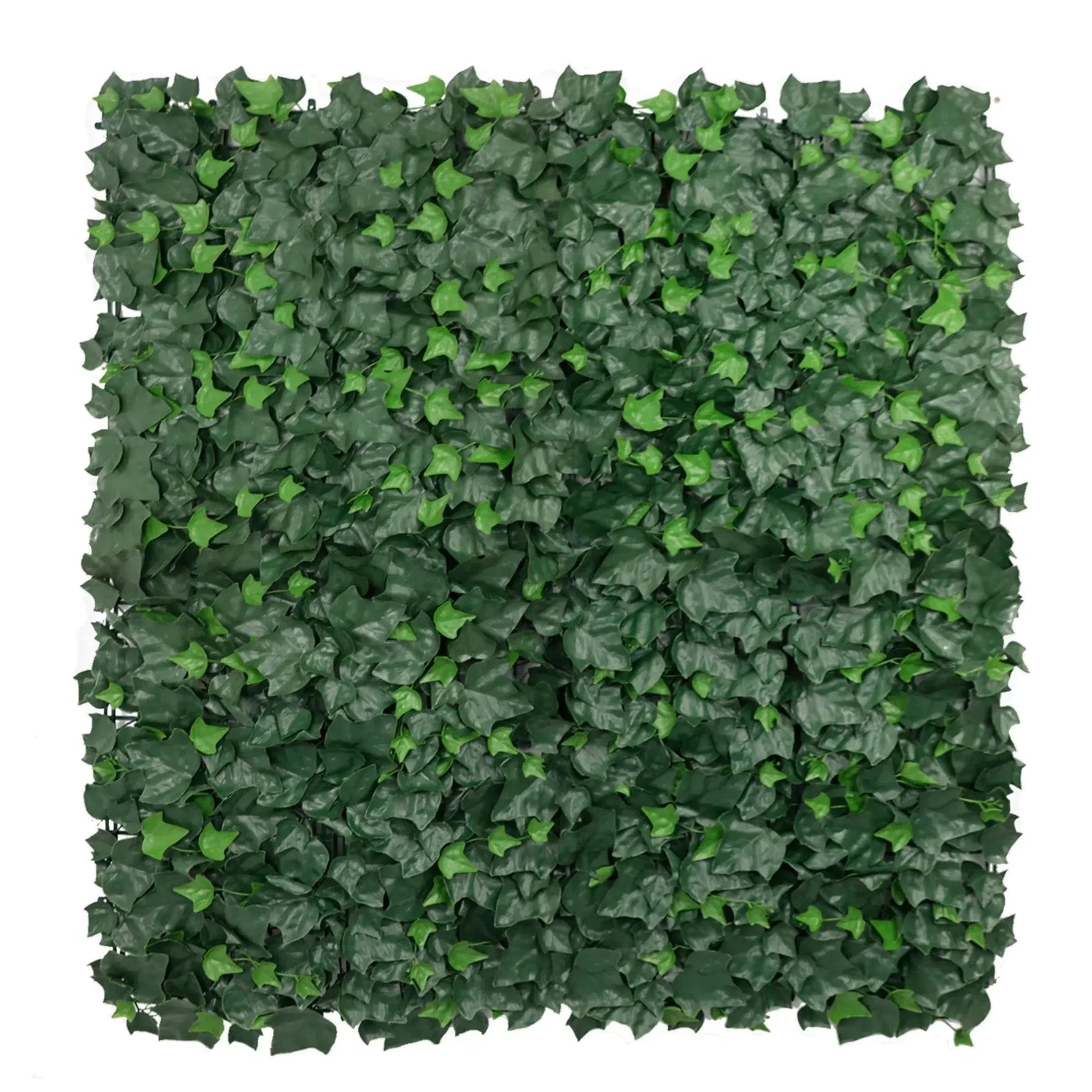 Square panel of artificial green ivy leaves on a white background