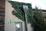 Artificial ivy panel on a building exterior with 'Designer Plants' logo.