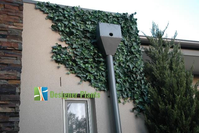 Artificial ivy panel on a building exterior with 'Designer Plants' logo.