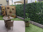 Outdoor patio area with a table, chairs, and potted plants against a green hedge.