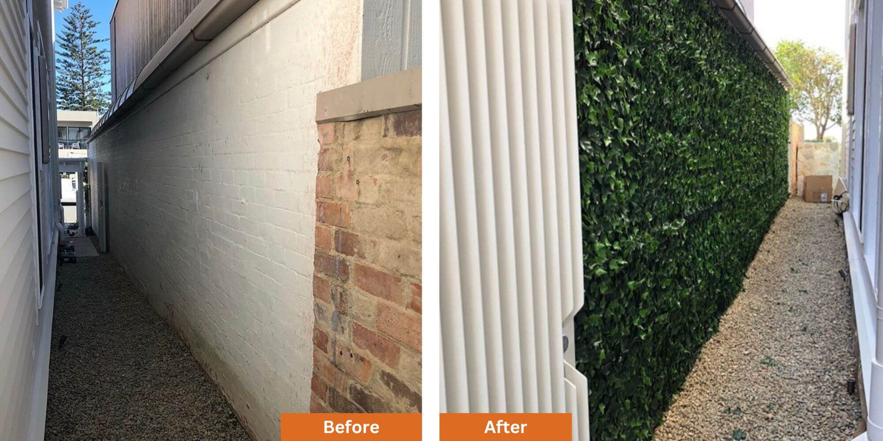Before and after comparison of a garden wall with greenery.