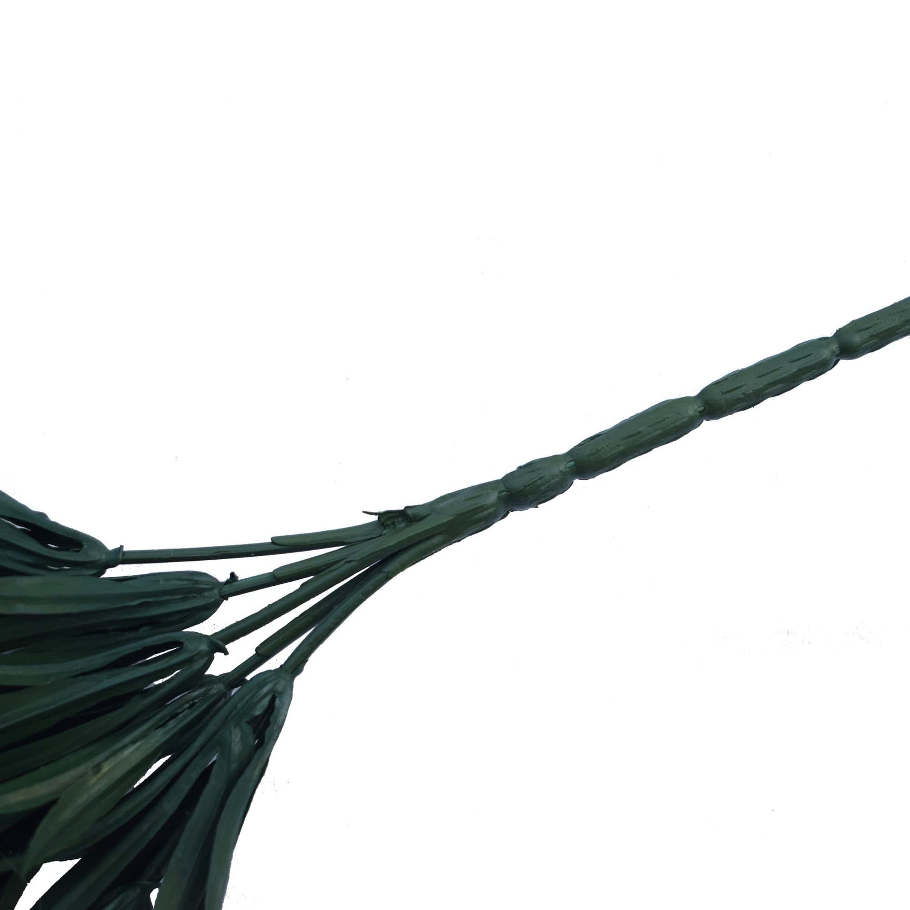Dark green leather whip on a white background