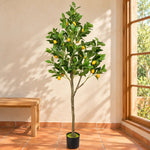 Artificial Lemon Tree (Potted) with Lemons 150cm - Designer Vertical Gardens Artificial Trees Artificial Trees for Commercial Properties