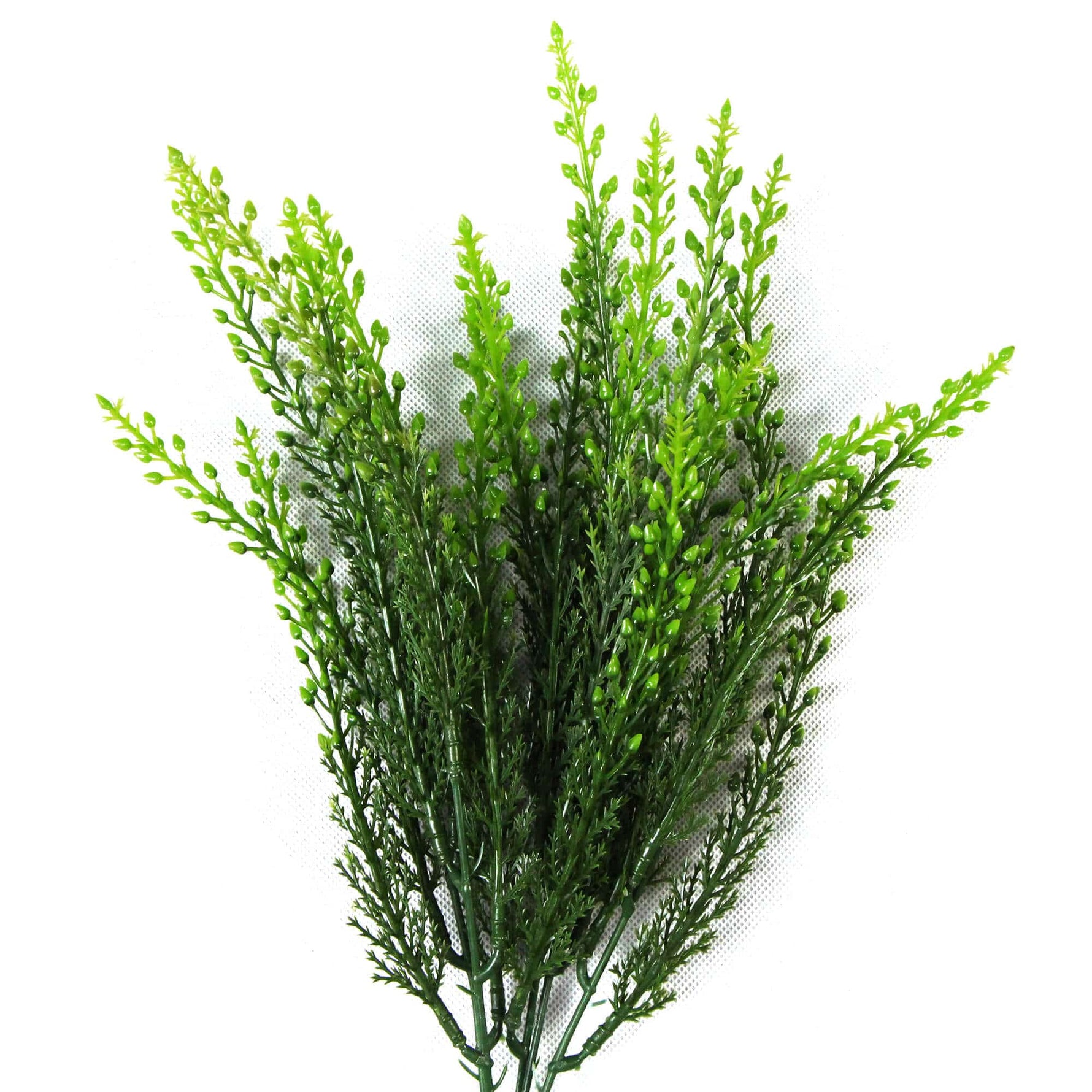 Green artificial plant on a white background