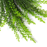 Artificial green leaves on a white background