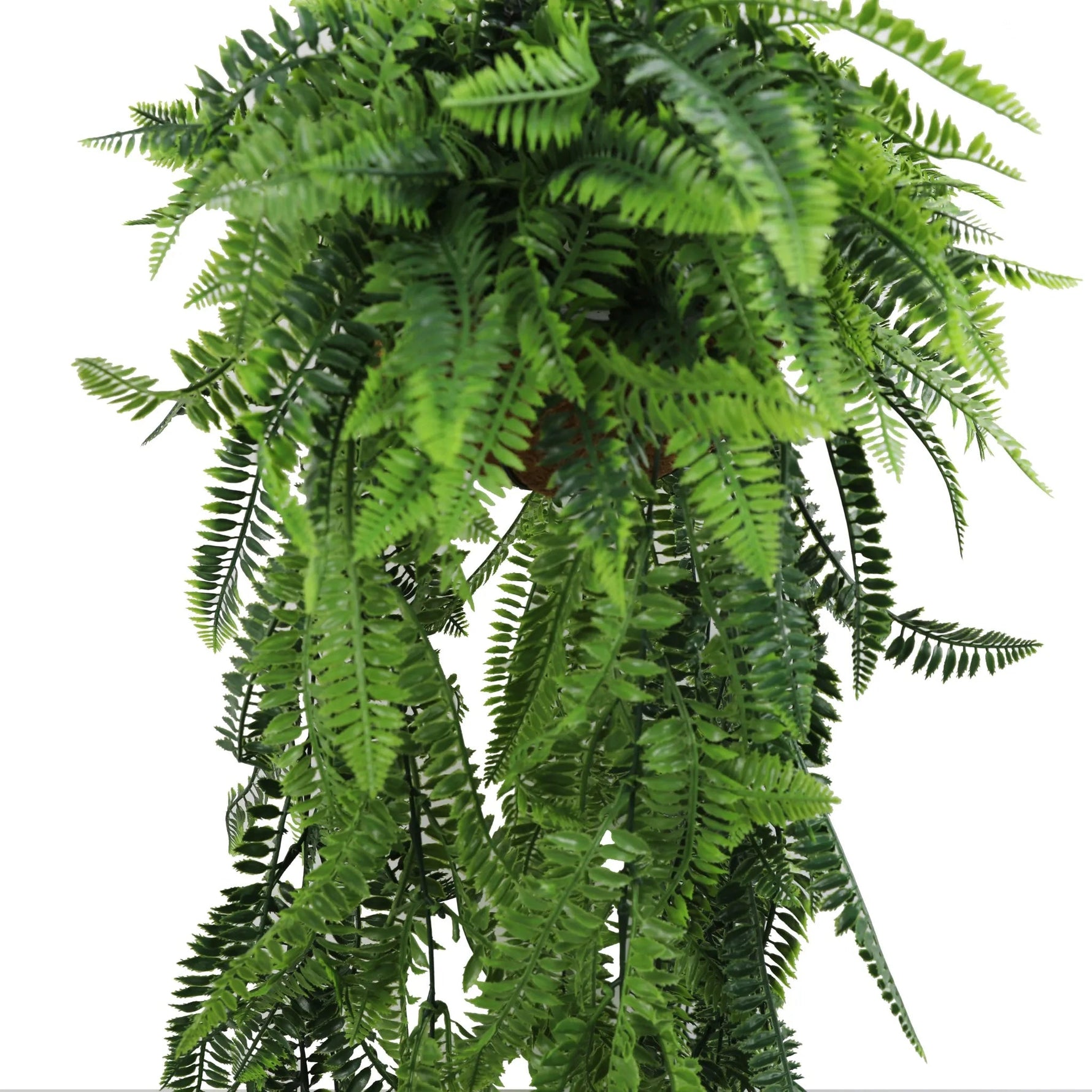 Artificial fern plant on a white background