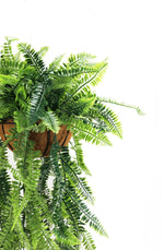 Artificial hanging fern plant with a wooden basket on a white background