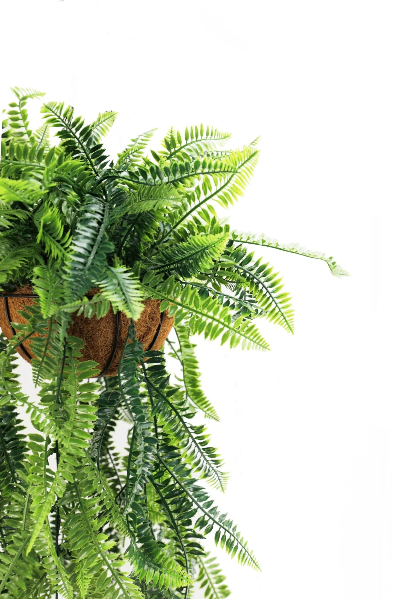 Artificial hanging fern plant with a wooden basket on a white background