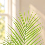 Artificial Modern Bushy Areca Fern Tree 120cm - Designer Vertical Gardens Artificial Trees Bamboos and Palm