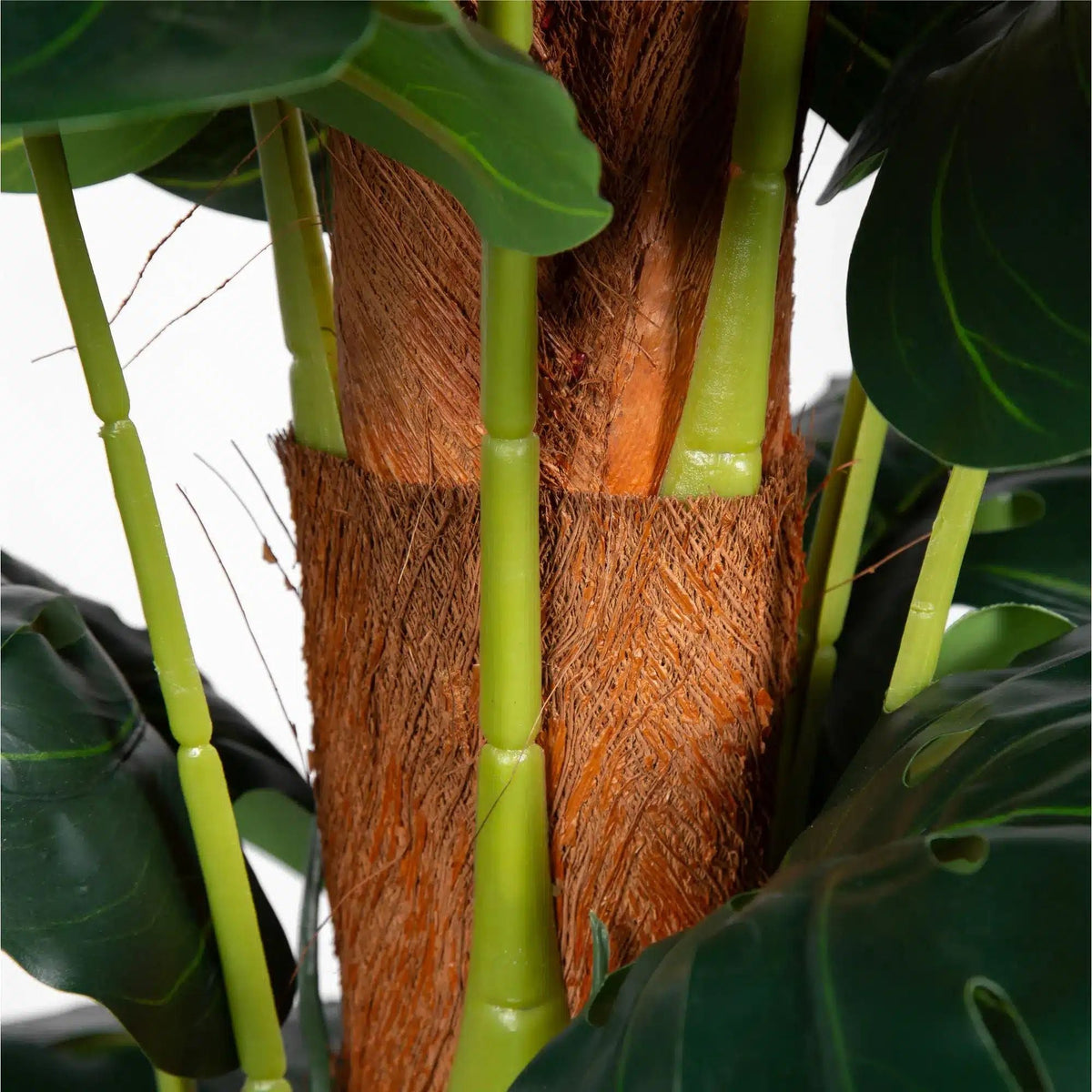 Artificial Money Plant (Monstera) with decorative pot 180cm — gallery image