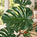 Artificial Monstera Floor Plant – Split Leaf UV Resistant (150cm) - Designer Vertical Gardens artificial monstera in pot Artificial Plants