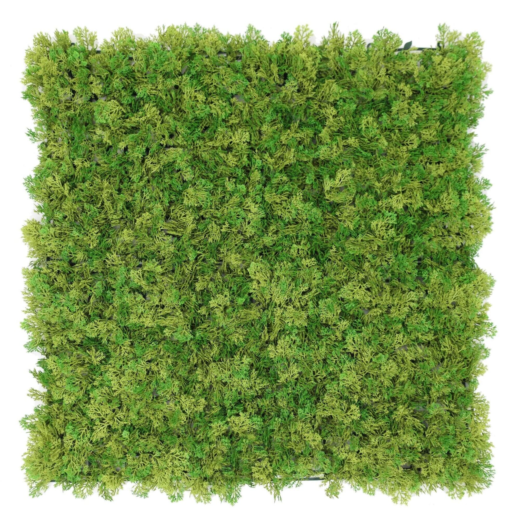 Artificial Moss Panel 100cm x 100cm - UV Resistant Two - Tone Green Wall - Designer Vertical Gardens artificial green wall australia artificial green walls for backdrops