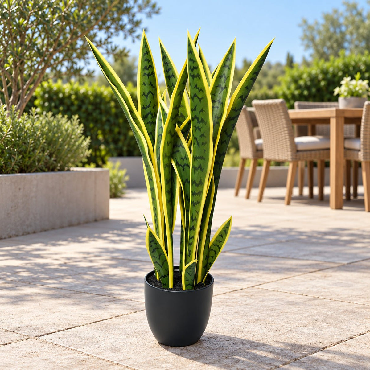 Artificial Mother in Law Tongue / Yellow Tongue Sansevieria UV Resistant 60CM - Designer Vertical Gardens Artificial Shrubs and Small plants Artificial Trees