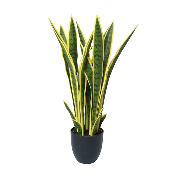 Artificial Mother in Law Tongue / Yellow Tongue Sansevieria UV Resistant 60CM — gallery image 8