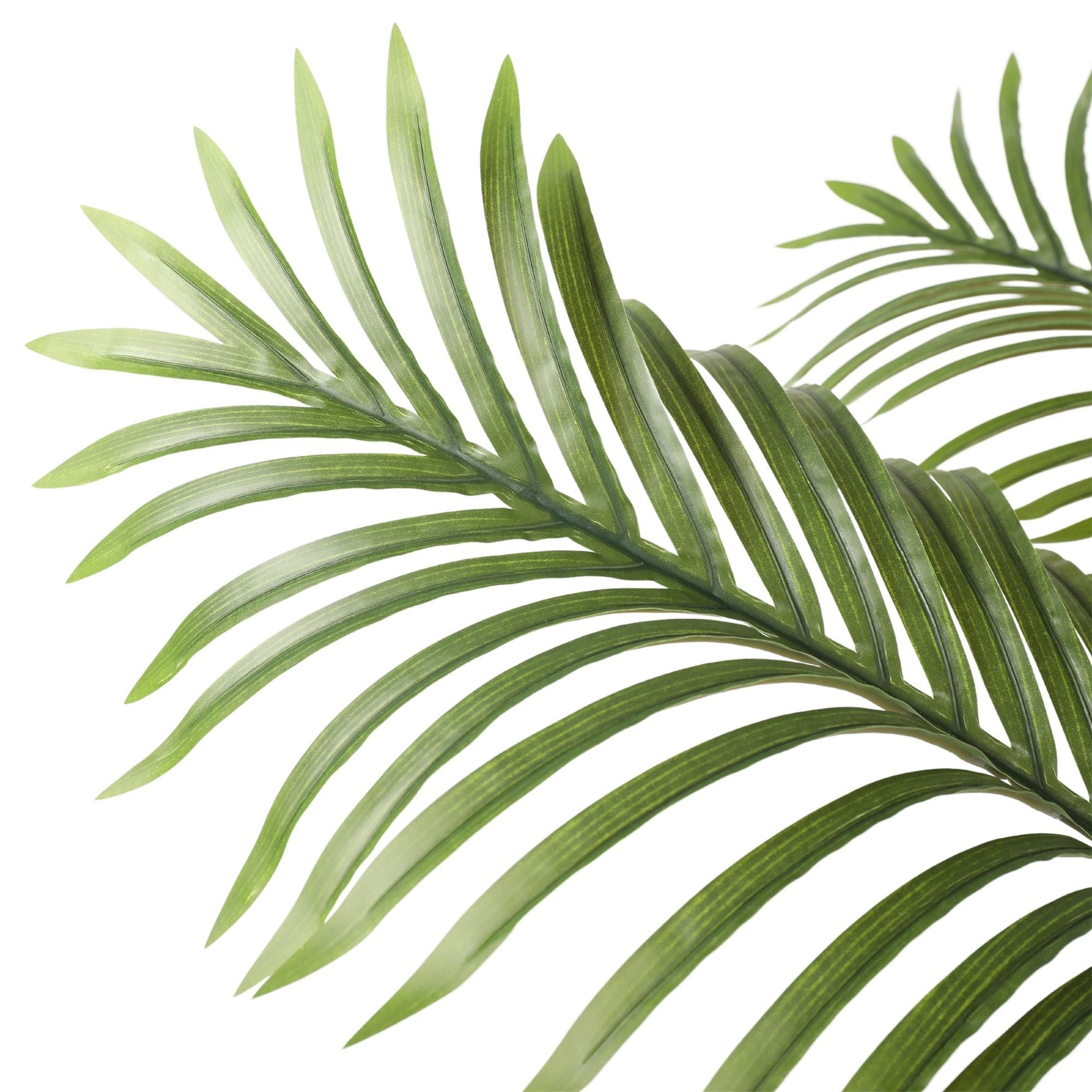 Artificial Multi Stem Hawaii Palm 190cm - Designer Vertical Gardens Artificial Fern tree Artificial Trees