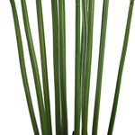 Artificial Multi Stem Hawaii Palm 190cm - Designer Vertical Gardens Artificial Fern tree Artificial Trees