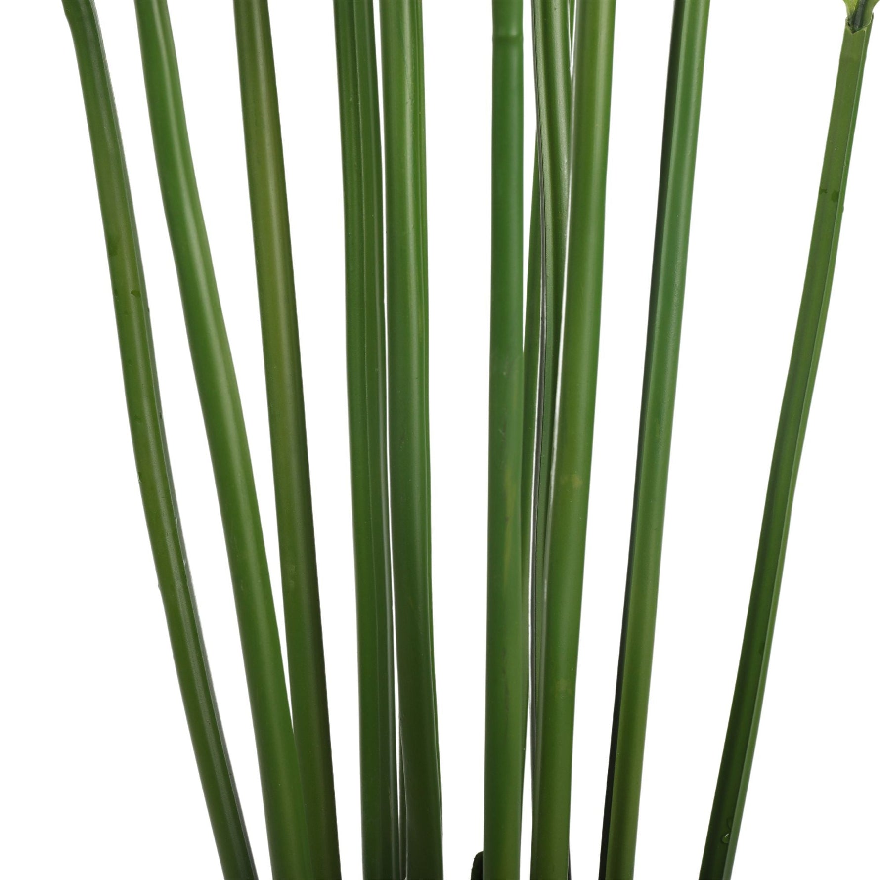 Artificial Multi Stem Hawaii Palm 190cm - Designer Vertical Gardens Artificial Fern tree Artificial Trees