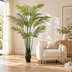 Artificial Multi Stem Hawaii Palm 190cm - Designer Vertical Gardens Artificial Fern tree Artificial Trees