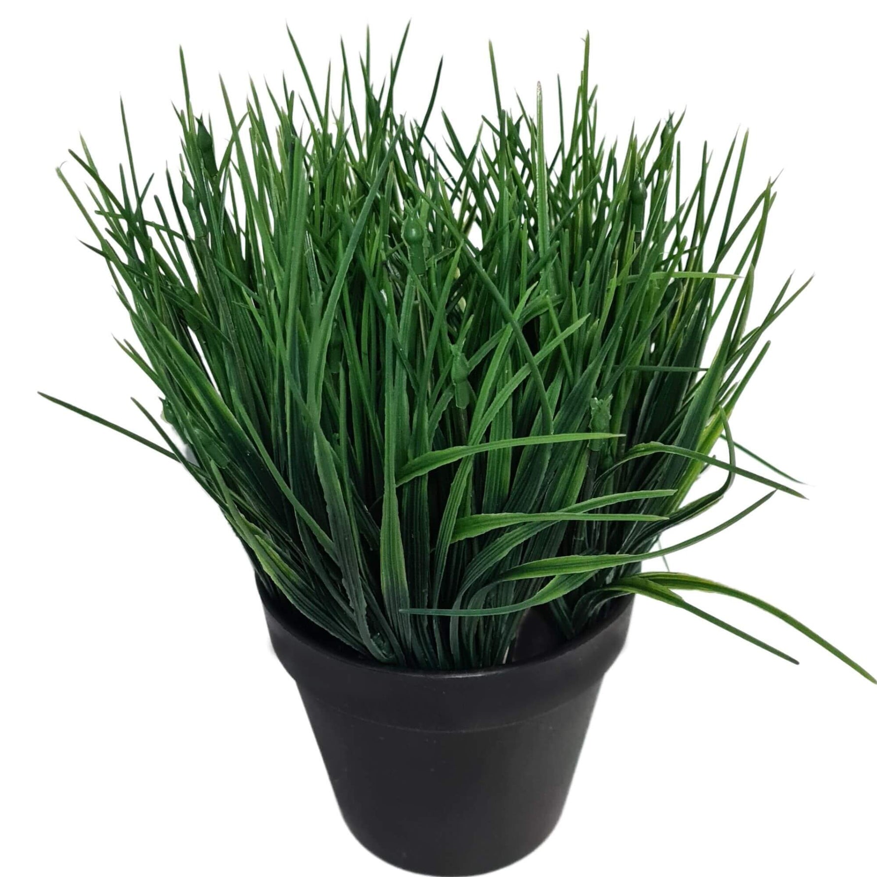 Potted artificial grass plant on a white background