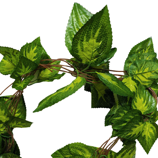 Artificial Pothos Vines / Ivy Hanging Vines 260cm Each (5 pack) — gallery image 3