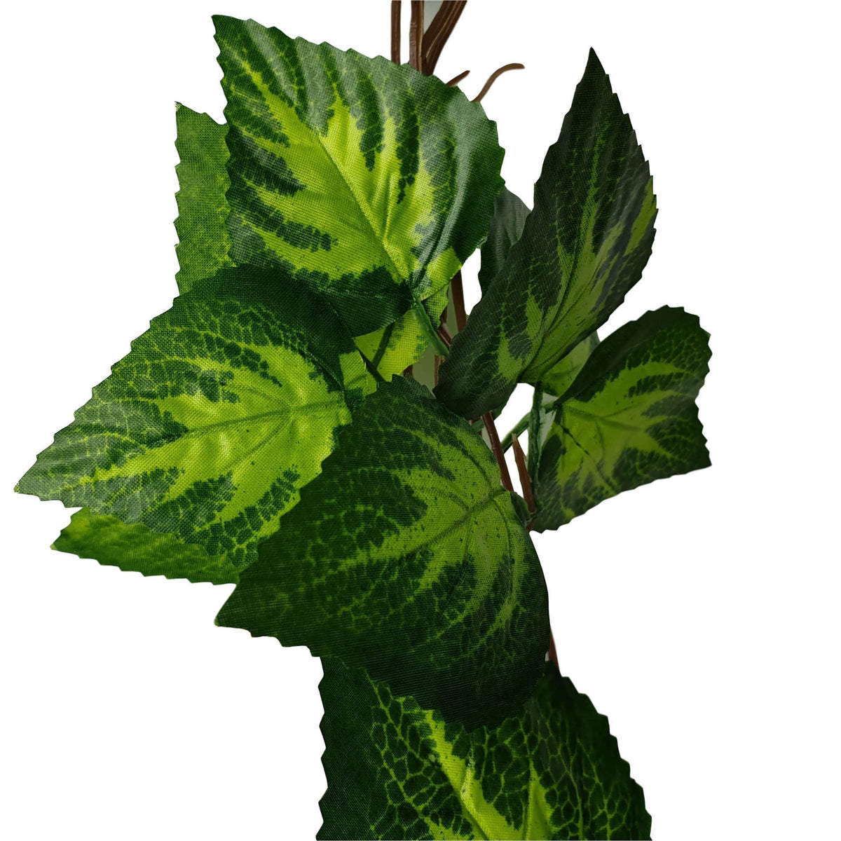 Artificial Pothos Vines / Ivy Hanging Vines 260cm Each (5 pack) — gallery image