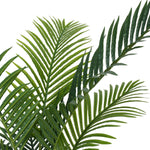 Close-up of green palm leaves on a white background