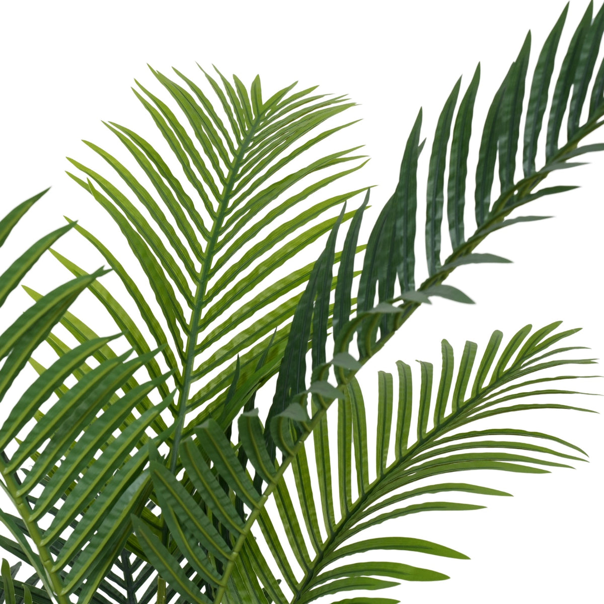 Artificial Potted Areca Palm Tree 120cm - Designer Vertical Gardens Artificial Trees Bamboos and Palm