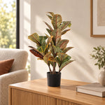 Artificial Potted Flaming Zebra (Codiaeum variegatum / crotons) 55cm - Designer Vertical Gardens Artificial Shrubs and Small plants Artificial Trees
