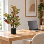 Artificial Potted Flaming Zebra (Codiaeum variegatum / crotons) 55cm - Designer Vertical Gardens Artificial Shrubs and Small plants Artificial Trees