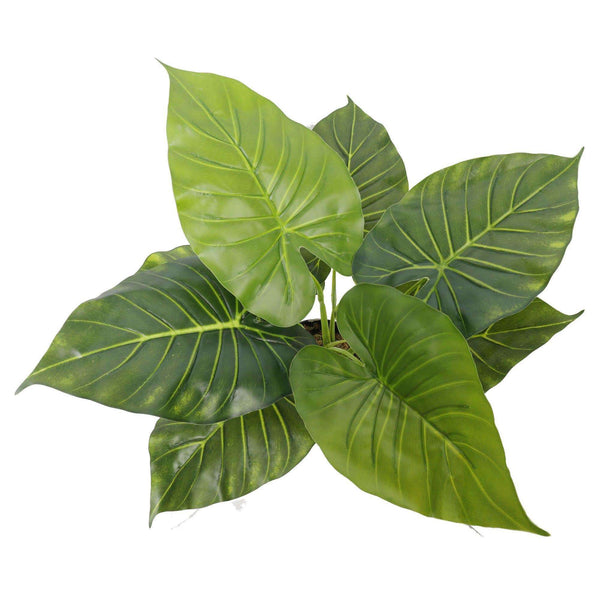 Artificial Potted Taro Plant / Elephant Ear 55cm — gallery image 3